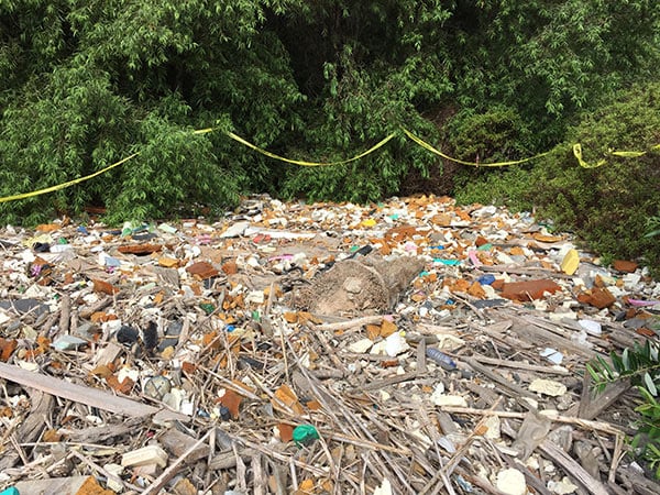 June_28_cleanup-01