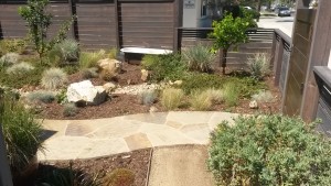 OFG Spring 2015 Garden