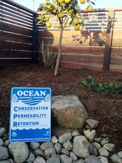 Oceanside OFG