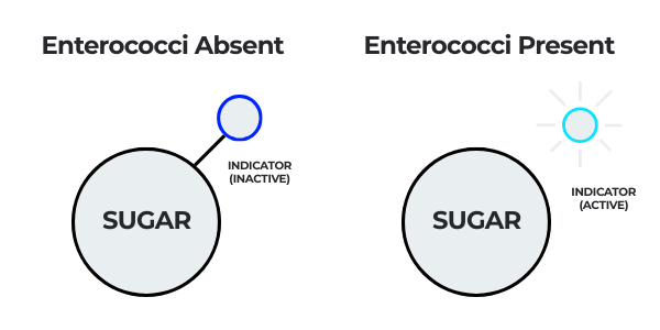 BWTF SD BLOG ABSENT VS PRESENT