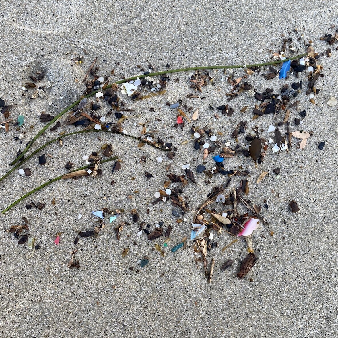 Nurdles on the beach