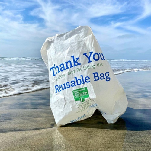 reusable bag-1