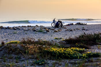 klein_lowers_march2013_15340