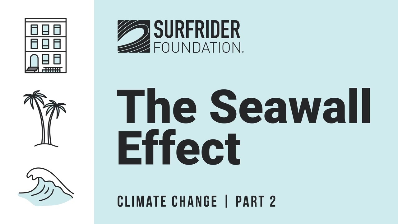 seawalls_are_stealing_our_sandy_beaches (720p)