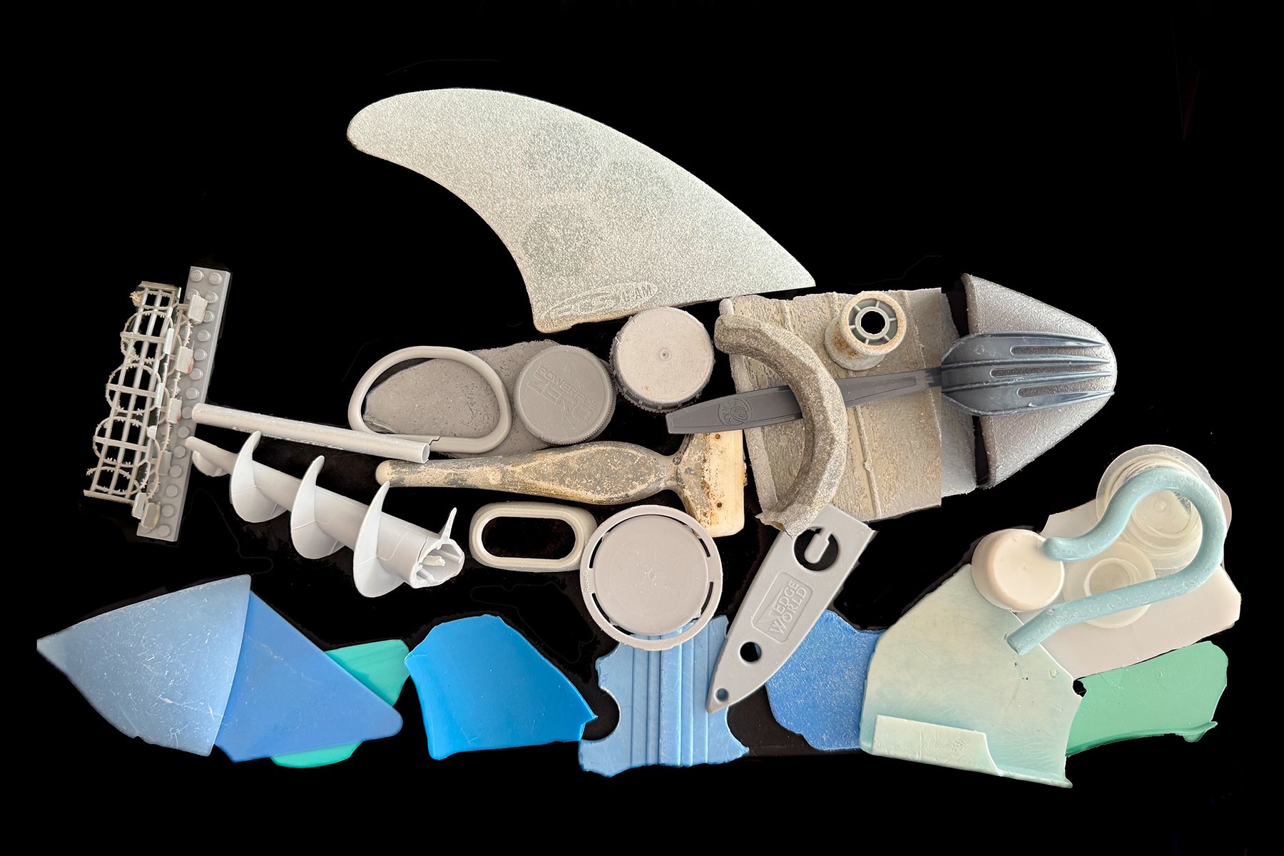 shark